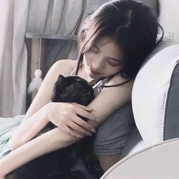 多情的野猫