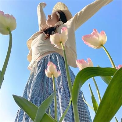 琴谜变奏曲
