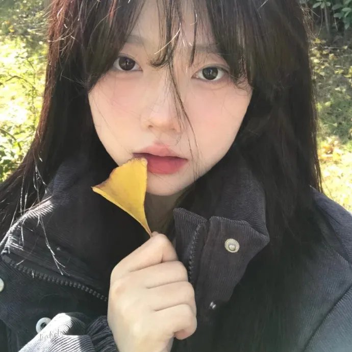 岛上的老师